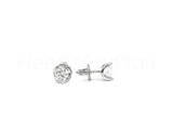 0.3ct Round Cut Moissanite Heart Shape Stud Earrings Women 14k White Gold Plated