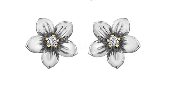 0.7ct Round Cut Moissanite Floral Stud Earrings For Women 14k White Gold Plated