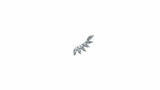 1.7ct Marquise Cut VVS1D Diamond Wing Design Stud Earrings 14k White Gold Finish