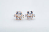 0.5ct Heart Cut Simulated Diamond Paw Stud Earrings 14k Rose Gold Plated