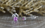 0.5ct Mini Round Cut Pink Sapphire Screw Back Stud Earrings 14k WhiteGold Finish