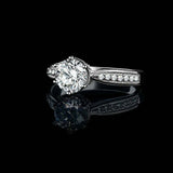 2ct Round Cut Diamond Hidden Halo Solitaire with Accent Ring 14k White Gold Over