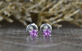 0.5ct Mini Round Cut Pink Sapphire Screw Back Stud Earrings 14k WhiteGold Finish