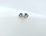 1.4ct Stud Earrings Round Cut Blue Sapphire Solitaire Women 14k WhiteGold Finish