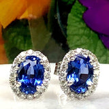 1.45ct Oval Cut Blue Sapphire Diamond Halo Stud Earrings 14k White Gold Finish