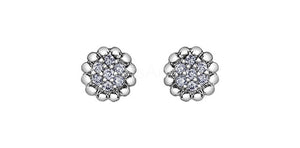 0.25ct Round Cut Moissanite Cluster Stud Earrings For Women 14k WhiteGold Plated