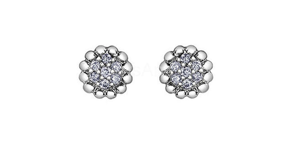 0.25ct Round Cut Moissanite Cluster Stud Earrings For Women 14k WhiteGold Plated