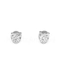 0.3ct Round Cut Moissanite Heart Shape Stud Earrings Women 14k White Gold Plated